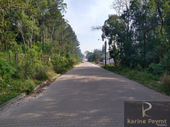 Imagem Terreno à Venda, 250 m² em Campestre - São Leopoldo Imagem Terreno à Venda, 250 m² em Campestre - São Leopoldo