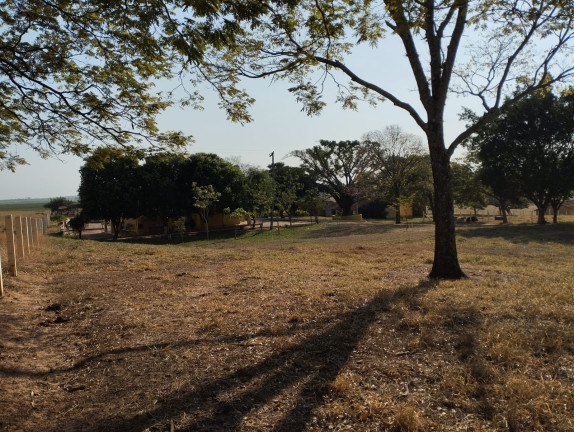 Imagem Imóvel à Venda, 115 m² em área Rural De Lins - Lins Imagem Imóvel à Venda, 115 m² em área Rural De Lins - Lins