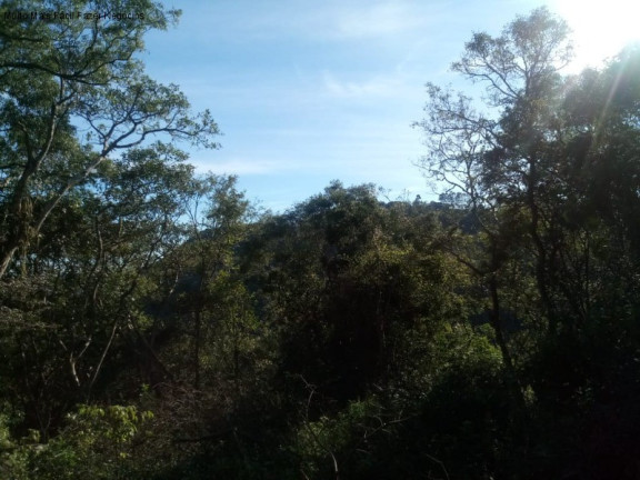 Imagem Terreno à Venda, 1.646 m² em Pousada Da Neve - Nova Petrópolis Imagem Terreno à Venda, 1.646 m² em Pousada Da Neve - Nova Petrópolis