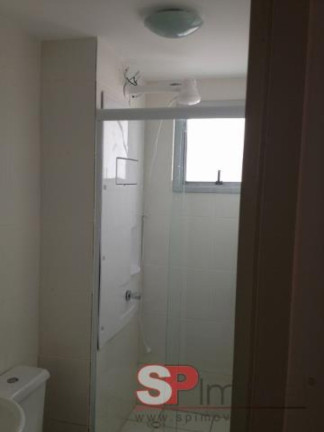 Imagem Apartamento com 2 Quartos à Venda, 49 m² em Vila Palmeiras - São Paulo
