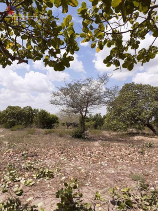 Imagem Fazenda à Venda, 50.000 m² em Centro - João Câmara Imagem Fazenda à Venda, 50.000 m² em Centro - João Câmara