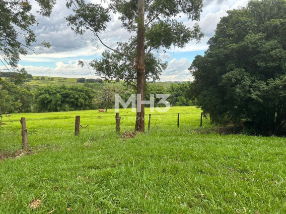 Imagem Imóvel com 6 Quartos à Venda, 108.900 m² em Tatu - Limeira
