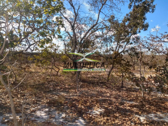 Imagem Fazenda à Venda, 102 m² em Centro - Santa Fé De Minas Imagem Fazenda à Venda, 102 m² em Centro - Santa Fé De Minas