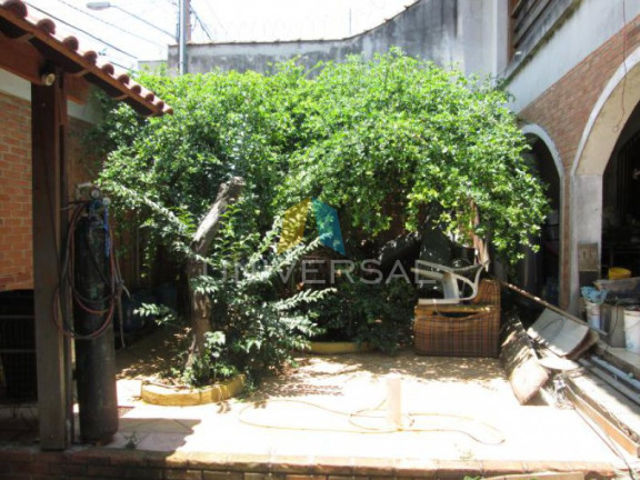 Imagem Sobrado com 3 Quartos à Venda, 350 m² em Chacara Belenzinho - Sao Paulo Imagem Sobrado com 3 Quartos à Venda, 350 m² em Chacara Belenzinho - Sao Paulo