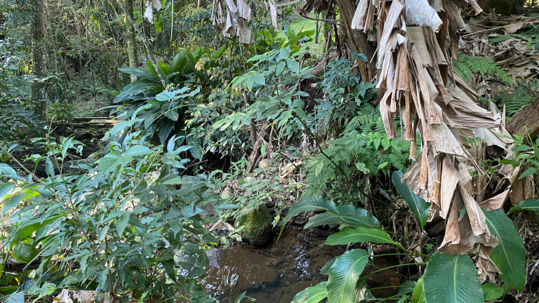 Imagem Terreno à Venda, 1.759 m² em Praia Da Silveira - Garopaba Imagem Terreno à Venda, 1.759 m² em Praia Da Silveira - Garopaba