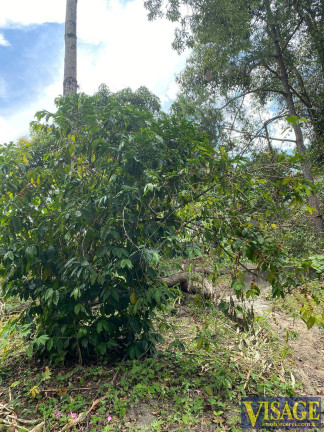 Imagem Terreno à Venda, 4 m² em Condomínio Lagoinha - Jacareí