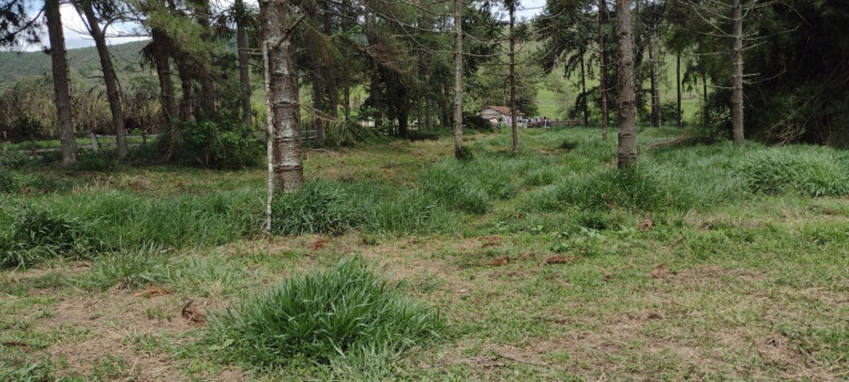 Imagem Fazenda à Venda, 150 m² em Parque Das Alamedas - Guaratinguetá