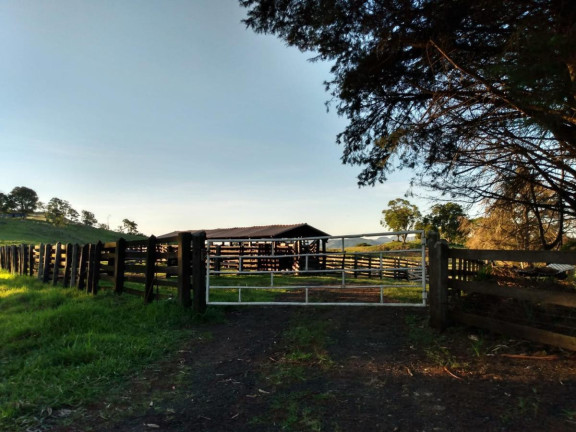 Imagem Fazenda à Venda, 363 m² em Rural - Ortigueira Imagem Fazenda à Venda, 363 m² em Rural - Ortigueira