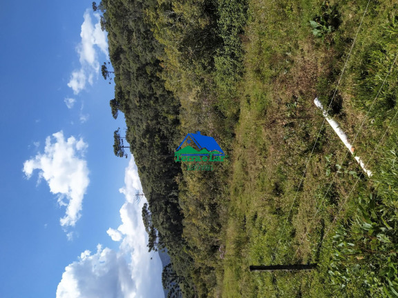 Terreno à Venda, 130.000 m² em Zona Rural - Carvalhos