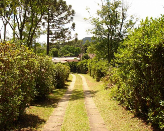 Imagem Imóvel à Venda, 2.039 m² em Linha Brasil - Nova Petrópolis Imagem Imóvel à Venda, 2.039 m² em Linha Brasil - Nova Petrópolis