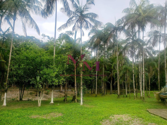 Imagem Chácara com 3 Quartos à Venda, 8.000 m² em Alexandra - Paranaguá