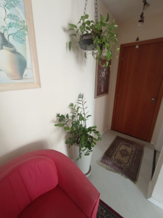 Imagem Apartamento com 3 Quartos à Venda, 93 m² em Jardim Marajoara - São Paulo Imagem Apartamento com 3 Quartos à Venda, 93 m² em Jardim Marajoara - São Paulo