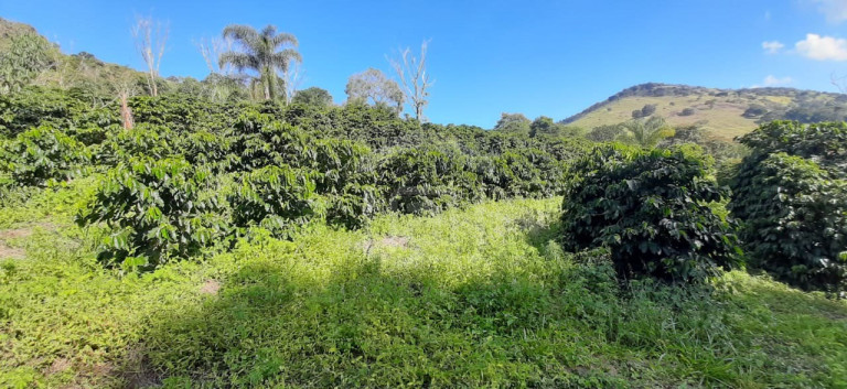 Imagem Imóvel à Venda, 3 m² em Milho Verde - Bandeira Do Sul