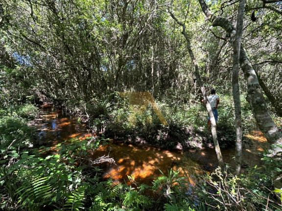 Imagem Terreno à Venda, em Alto Arroio - Imbituba Imagem Terreno à Venda, em Alto Arroio - Imbituba