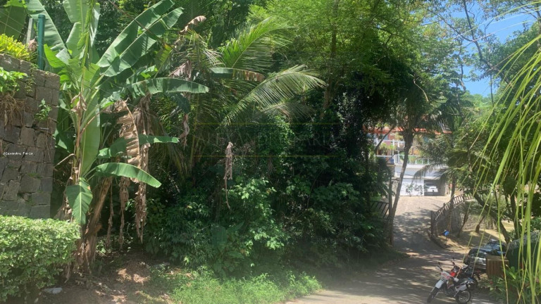 Imagem Terreno à Venda, 1.000 m² em Siriuba - Ilhabela Imagem Terreno à Venda, 1.000 m² em Siriuba - Ilhabela