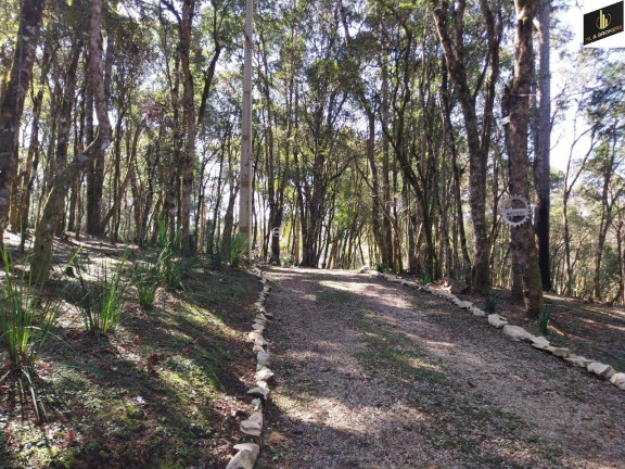 Imagem Imóvel com 5 Quartos à Venda, 30.000 m² em Margens Ro Da Varzea - Quitandinha