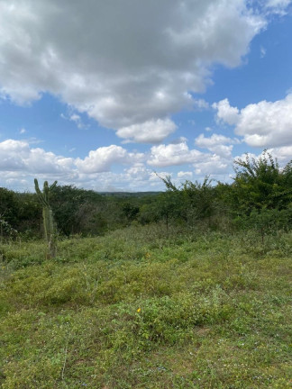 Imagem Fazenda à Venda, 310.000 m² em Br 116 - Euclides Da Cunha Imagem Fazenda à Venda, 310.000 m² em Br 116 - Euclides Da Cunha