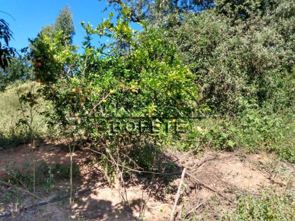 Imagem Imóvel com 1 Quarto à Venda, 21.696 m² em São Marcos - Bofete