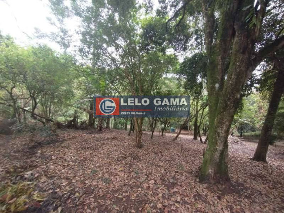 Imagem Terreno à Venda, 3 m² em Maria Mercedes - Santana De Parnaíba Imagem Terreno à Venda, 3 m² em Maria Mercedes - Santana De Parnaíba