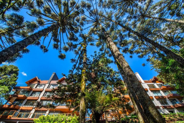 Imagem Apartamento com 3 Quartos à Venda, 319 m² em Planalto - Gramado