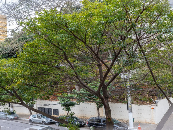 Imagem Imóvel com 2 Quartos à Venda, 81 m² em Cambuci - São Paulo Imagem Imóvel com 2 Quartos à Venda, 81 m² em Cambuci - São Paulo