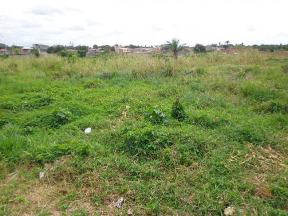Imagem Terreno à Venda, 4 m²em Abrantes - Camaçari Imagem Terreno à Venda, 4 m²em Abrantes - Camaçari
