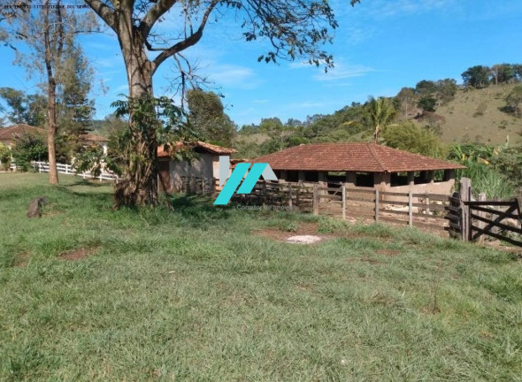 Imagem Fazenda à Venda, 200 m² em Zona Rural - Piedade Dos Gerais Imagem Fazenda à Venda, 200 m² em Zona Rural - Piedade Dos Gerais