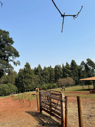 Imagem Chácara à Venda, 26.680 m² em Campinho - Arapongas