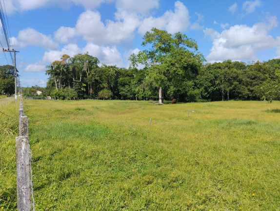 Imagem Terreno à Venda, 12.291 m² em Centro - Araquari Imagem Terreno à Venda, 12.291 m² em Centro - Araquari