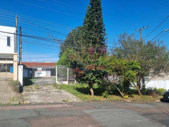 Imagem Casa com 4 Quartos para Alugar, 520 m² em Santa Felicidade - Curitiba Imagem Casa com 4 Quartos para Alugar, 520 m² em Santa Felicidade - Curitiba