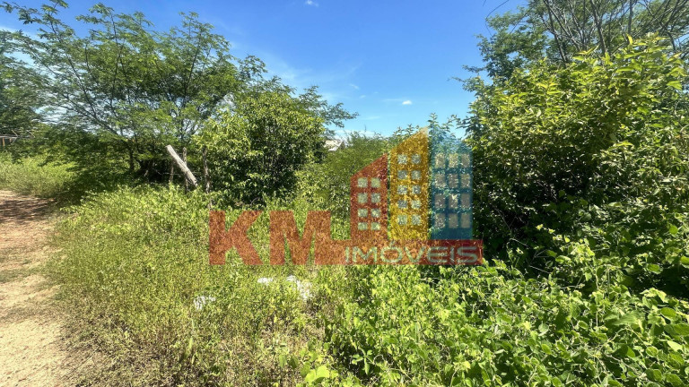 Imagem Terreno à Venda, 352 m² em Rincão - Mossoró Imagem Terreno à Venda, 352 m² em Rincão - Mossoró