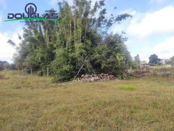 Imagem Terreno à Venda, 1.400 m² em Viamão Imagem Terreno à Venda, 1.400 m² em Viamão