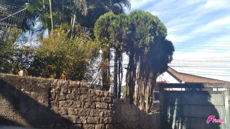 Casa com 2 Quartos à Venda, 515 m² em Saco Grande - Florianópolis