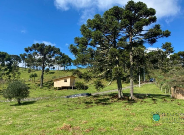 Imagem Imóvel com 1 Quarto à Venda, 20.000 m² em Zona Rural - Urubici