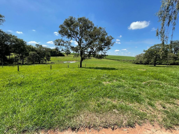 Imagem Imóvel à Venda, 25 m² em área Rural De São José Do Rio Preto - São José Do Rio Preto Imagem Imóvel à Venda, 25 m² em área Rural De São José Do Rio Preto - São José Do Rio Preto
