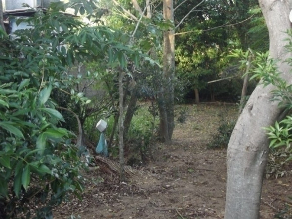 Imagem Casa com 4 Quartos à Venda, 2.000 m² em águas Claras - Viamão