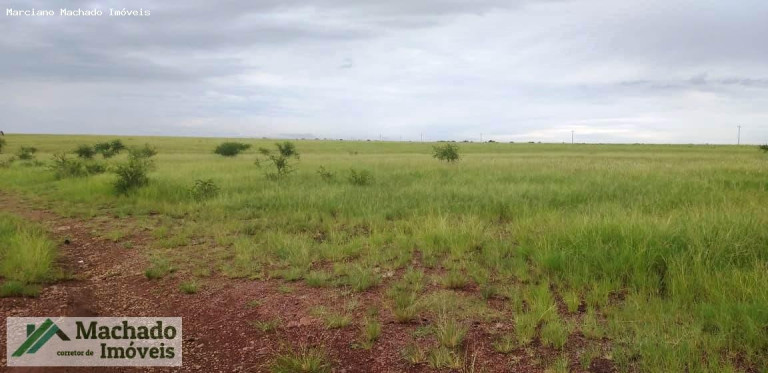 Imagem Imóvel à Venda, 4.200.000 m² em Rural - Quaraí