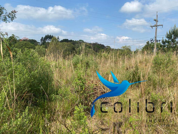 Imagem Terreno à Venda, 730 m² em Quatro Pinheiros - Mandirituba Imagem Terreno à Venda, 730 m² em Quatro Pinheiros - Mandirituba
