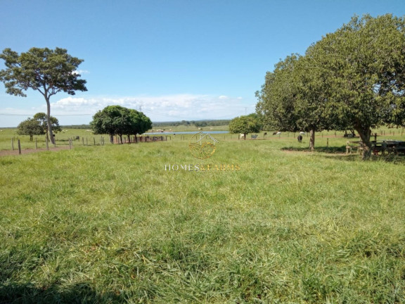 Imagem Imóvel com 3 Quartos à Venda, 1.240 m² em Centro - Nobres Imagem Imóvel com 3 Quartos à Venda, 1.240 m² em Centro - Nobres