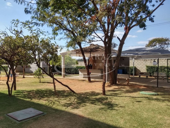 Imagem Imóvel com 2 Quartos à Venda, 49 m² em Jardim Manoel Penna - Ribeirão Preto Imagem Imóvel com 2 Quartos à Venda, 49 m² em Jardim Manoel Penna - Ribeirão Preto