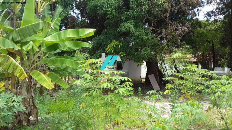 Imagem Fazenda à Venda, 4.000 m² em Granjas Reunidas Califórnia - Betim Imagem Fazenda à Venda, 4.000 m² em Granjas Reunidas Califórnia - Betim
