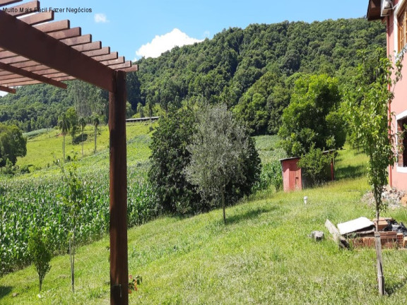 Imagem Imóvel com 4 Quartos à Venda, 300 m² em Pinhal Alto - Nova Petrópolis