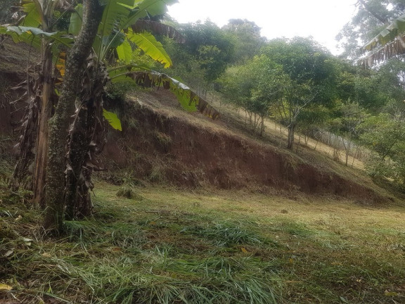 Imagem Imóvel à Venda, em Redenção Da Serra Imagem Imóvel à Venda, em Redenção Da Serra