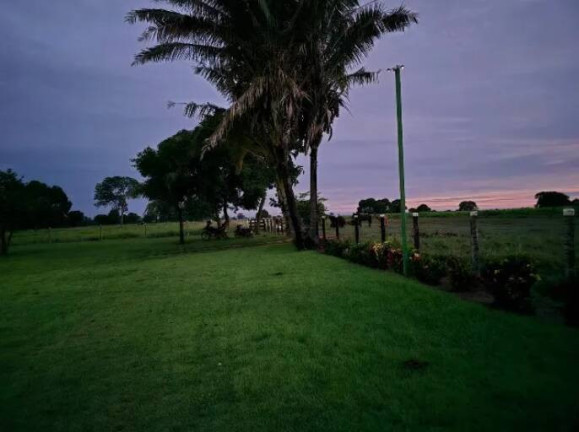 Imagem Fazenda à Venda, 11 m² em Ponte Rio Palmeiral - Mundo Novo Imagem Fazenda à Venda, 11 m² em Ponte Rio Palmeiral - Mundo Novo