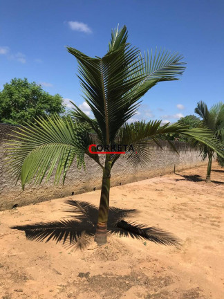 Imagem Casa com 1 Quarto à Venda, 600 m² em Recreio - Ibiúna Imagem Casa com 1 Quarto à Venda, 600 m² em Recreio - Ibiúna