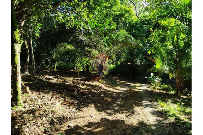 Imagem Terreno à Venda, 600 m² em Praia Do Forte - Mata De São João Imagem Terreno à Venda, 600 m² em Praia Do Forte - Mata De São João