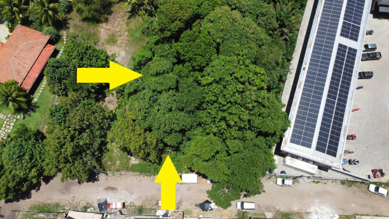 Imagem Terreno à Venda, 2 m² em Barra Grande - Marau Imagem Terreno à Venda, 2 m² em Barra Grande - Marau