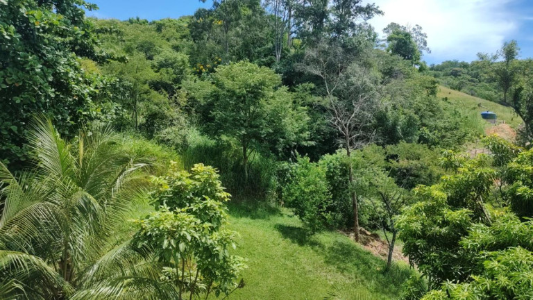 Imagem Apartamento com 3 Quartos à Venda, 53 m² em Campo Grande - Rio De Janeiro