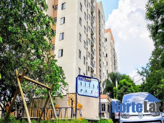 Imagem Apartamento com 3 Quartos à Venda, 55 m² em Vila Roque - São Paulo
