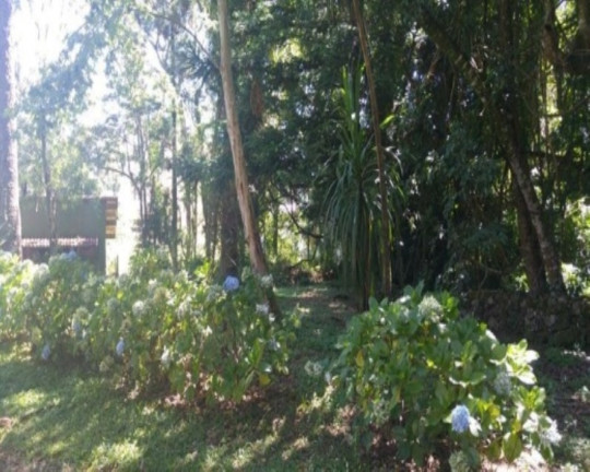 Imagem Casa com 4 Quartos à Venda, 170 m² em Piá - Nova Petrópolis Imagem Casa com 4 Quartos à Venda, 170 m² em Piá - Nova Petrópolis